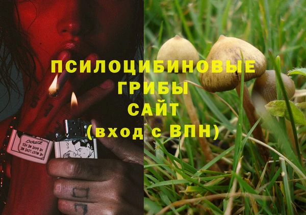 метадон Армянск