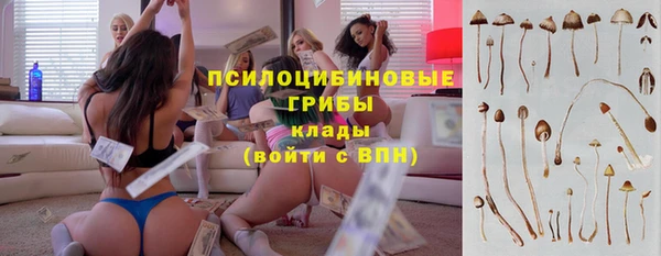 метадон Армянск