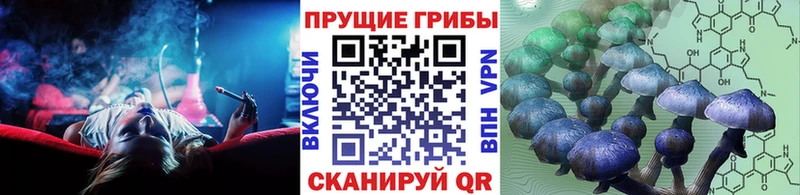 Галлюциногенные грибы Psilocybe  Ступино 